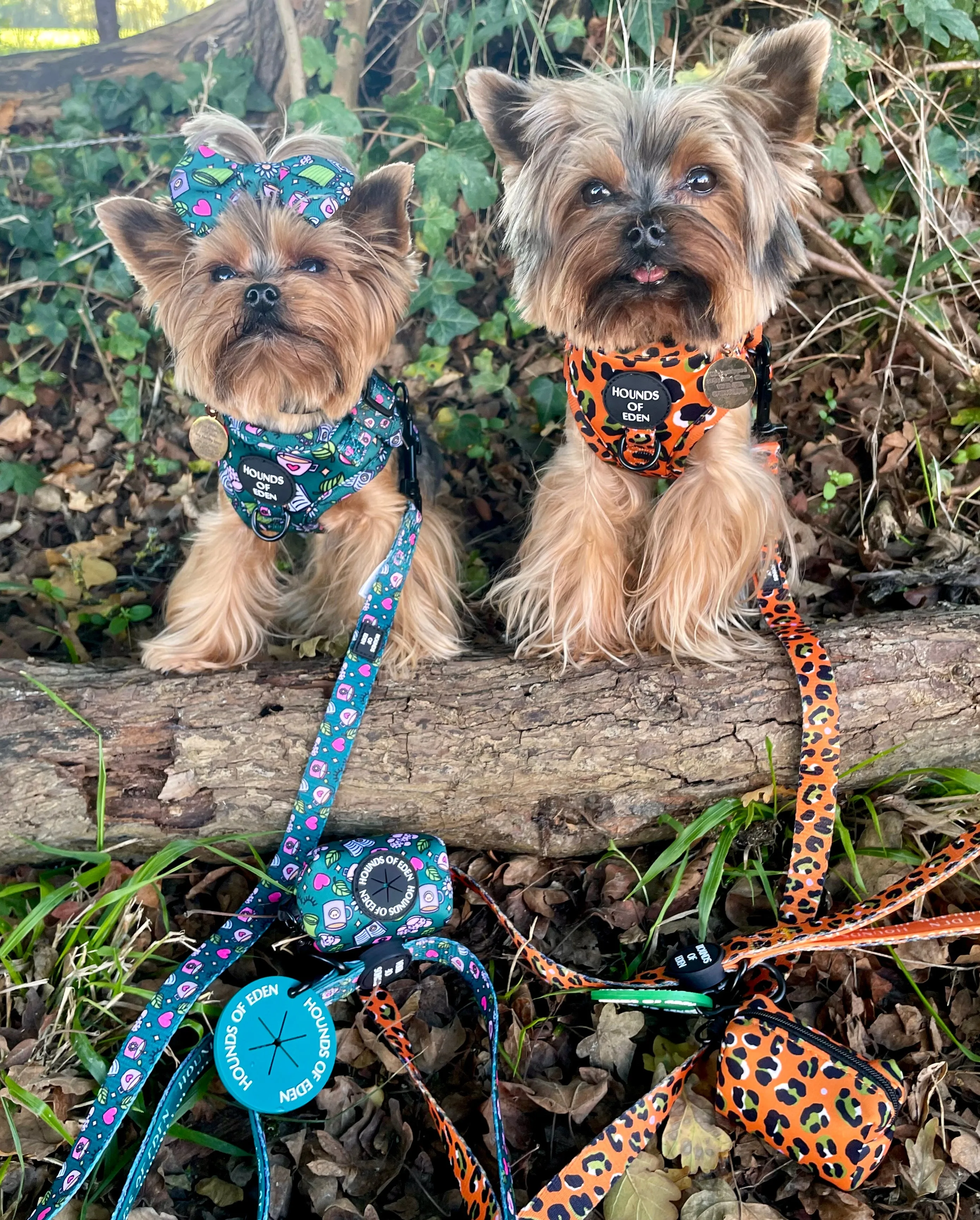 Burnt Orange Leopard Design Poop Bag Holder