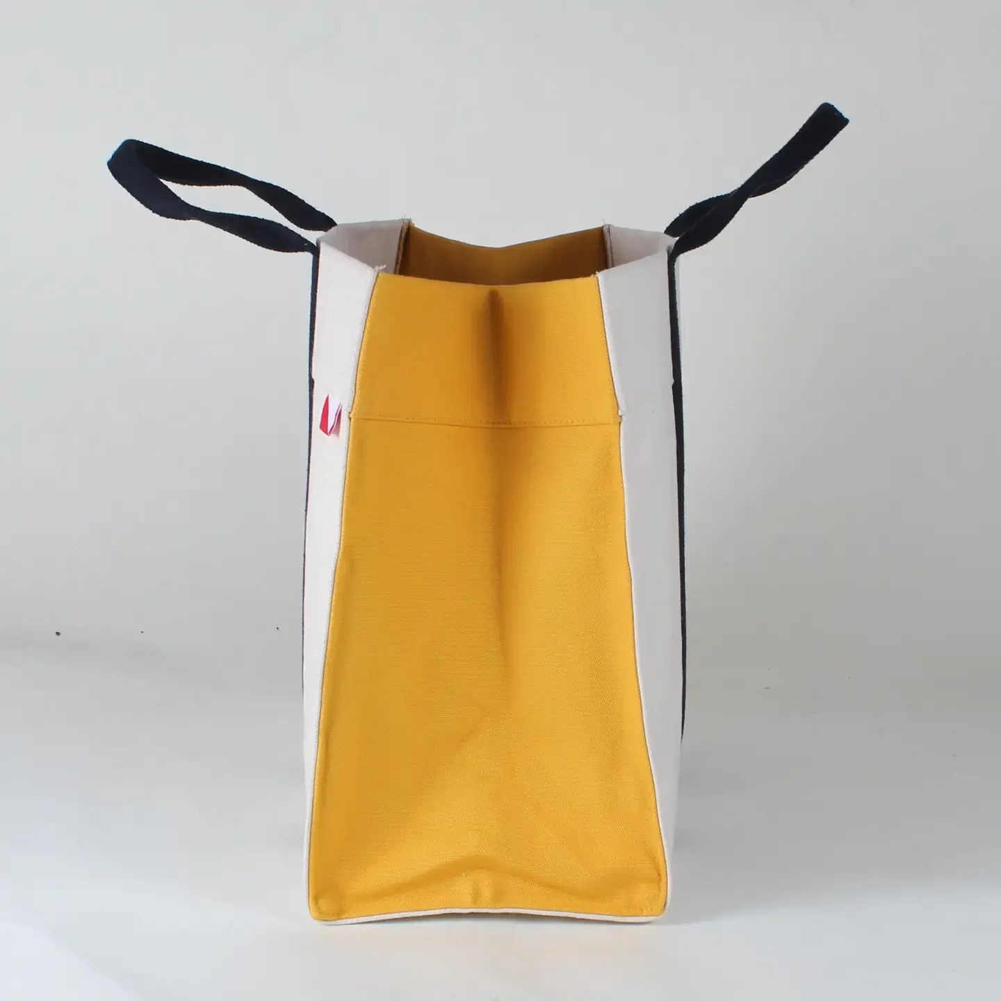 Canary - Havana Color Block Canvas Tote