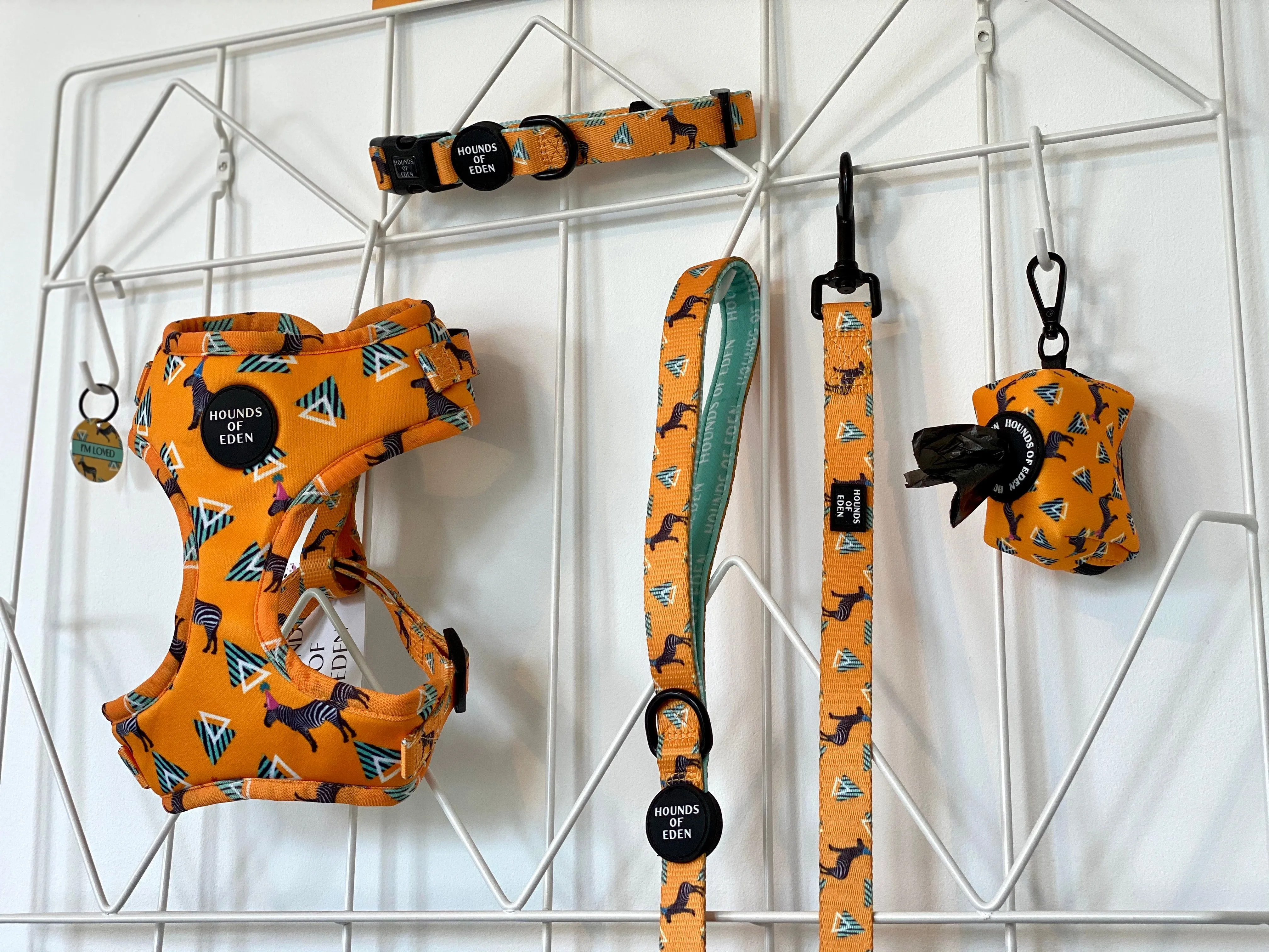 'Party Marty' - Zebra Poop/Treat Bag Holder