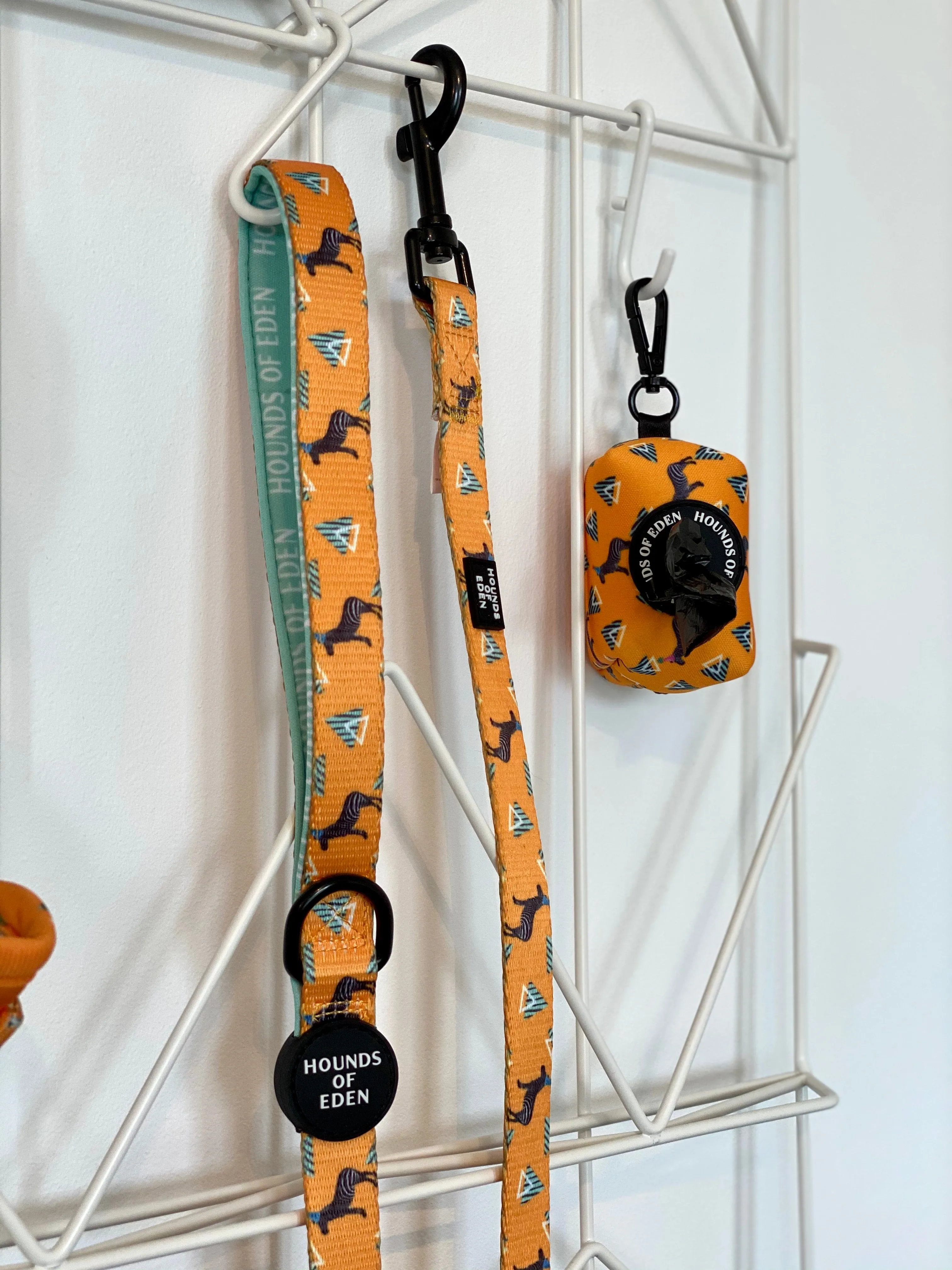 'Party Marty' - Zebra Poop/Treat Bag Holder
