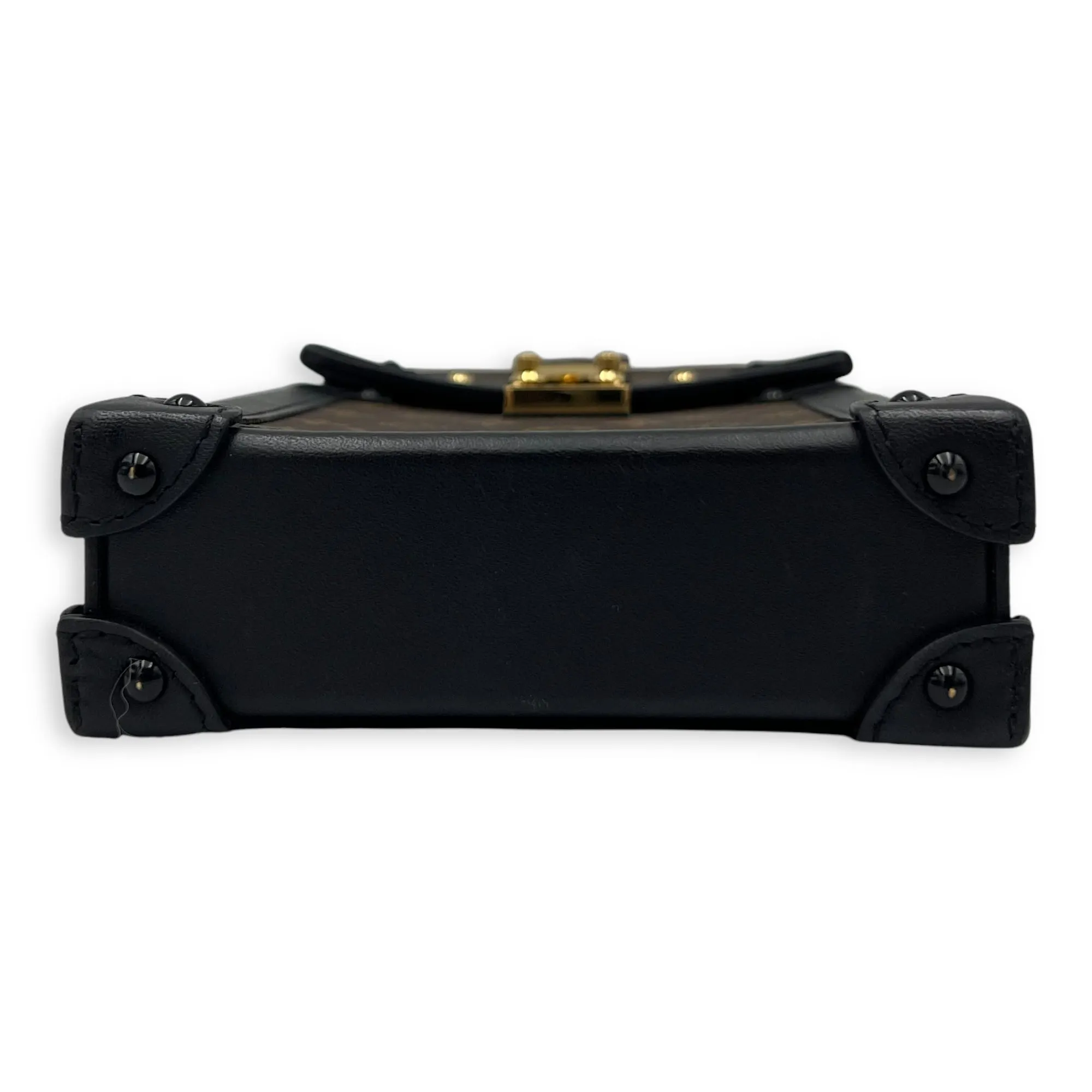 Trunk Vertical Brown Crossbody Bag in Monogram Coated Canvas, Gold hardware
