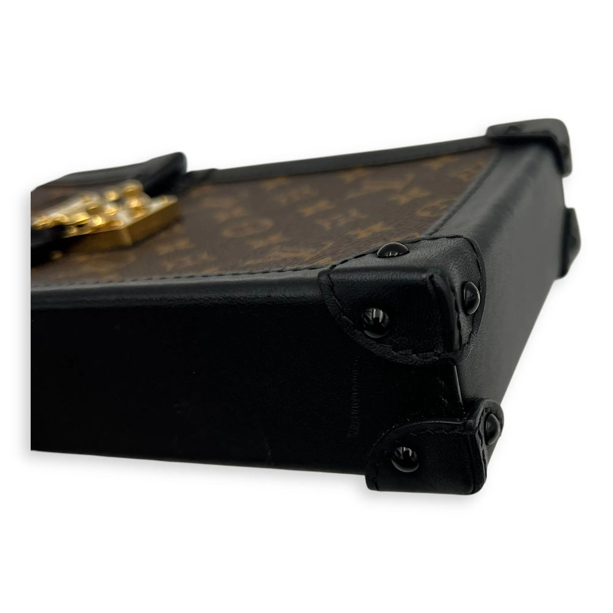 Trunk Vertical Brown Crossbody Bag in Monogram Coated Canvas, Gold hardware