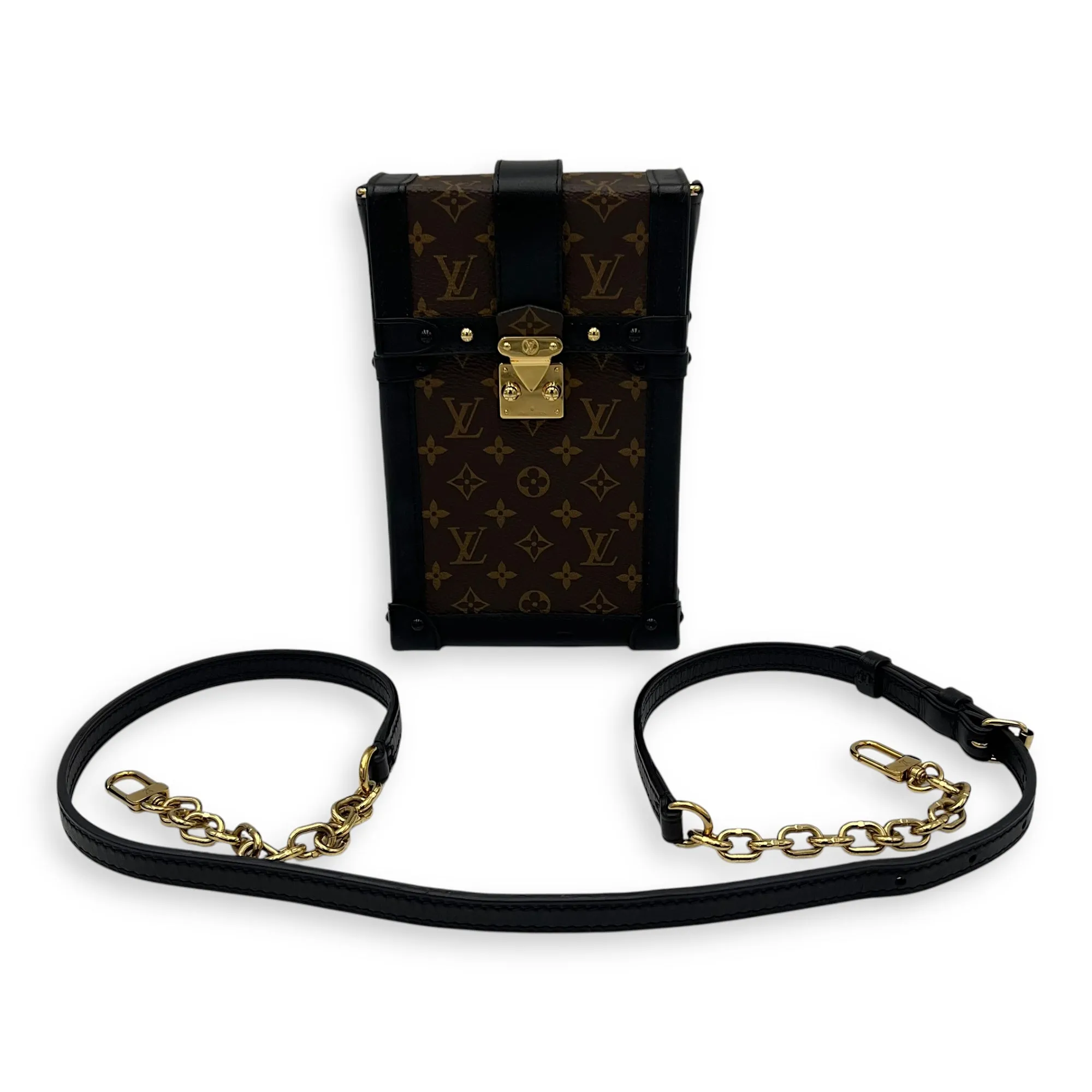 Trunk Vertical Brown Crossbody Bag in Monogram Coated Canvas, Gold hardware